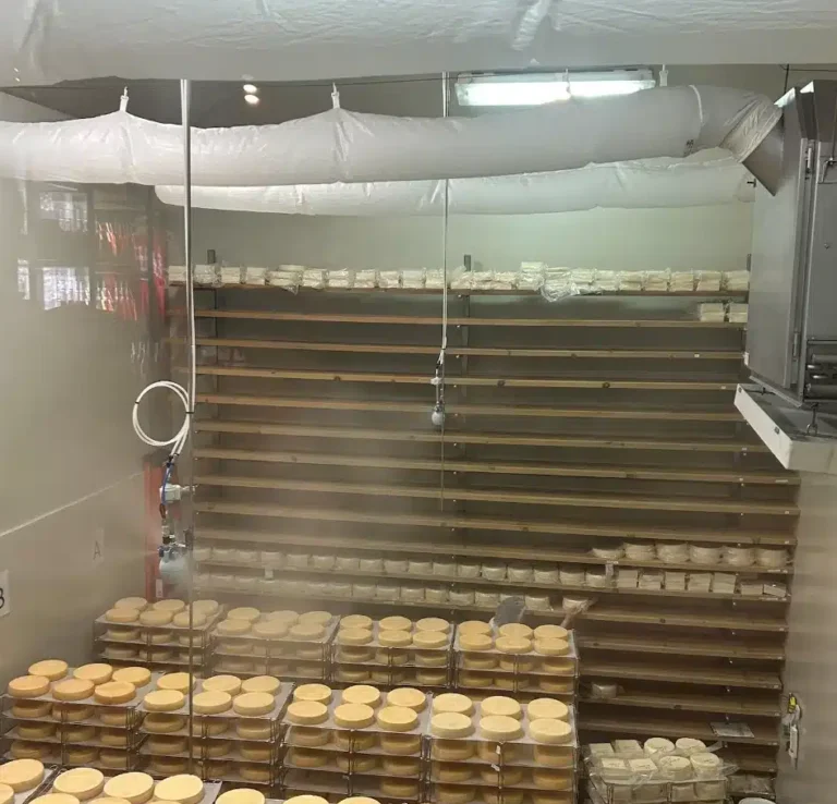 Fromagerie avec étagères de fromages Contrôle humidité en salle d’affinage